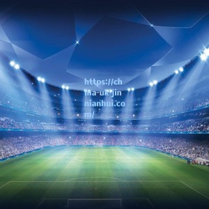 龙赛罗怒斥尼科闹剧2.0，皇马转会策略再遭质疑，球员未来成谜